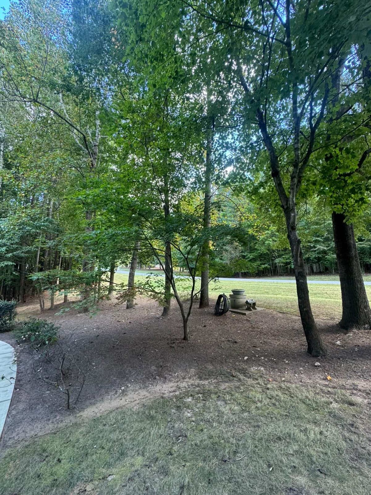 Premium Sod Installation